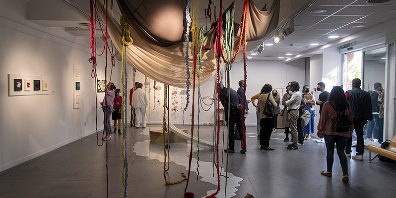 La diversidad del arte contemporáneo ecosostenible, en la sala CIBI del Jardín Botánico